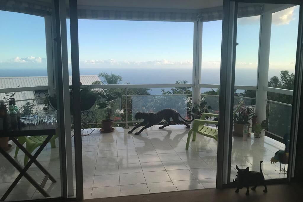 St Leu -Villa d'artiste, superbe vue mer, piscine chauffée Saint-Leu Esterno foto